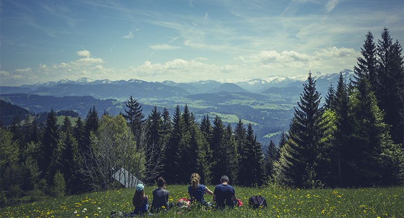 Du betrachtest gerade Litora torqent per conubia